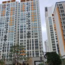 엘리체세탁소 이미지