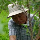 대야농장 이미지