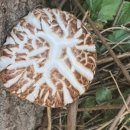 목인농장 이미지