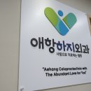 애항하지외과의원 이미지