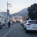 진해고등학교 | 진해 군항제 2026 벚꽃 후기 위치 주차 야시장 맛집