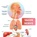 미주슈퍼 이미지
