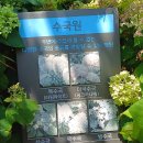 원당사거리 선사박물관 정문 횡단보도 | 인천 수국 명소 아라보타닉파크 옥계전망대 여름 서구 가볼만한 곳!