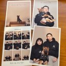 사진관.좋다 | 강서구 셀프사진관 애견동반 가능한 '명지 부록스튜디오' 대만족 후기