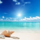 여름아, 부탁해~~ 이미지