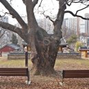 양인서원 이미지