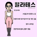 크로스핏청주 | [후기] 청주 크로스핏 플랜비｜여름맞이 다이어트 도전