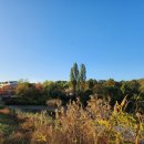 소망가축병원 | 삶의 끝에서 나눈 대화-2 - 이리스 라디쉬.