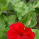 구산공인중개사사무소 이미지