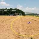 원정농장 이미지