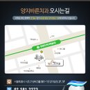 양지바른치과의원 이미지