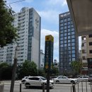 해요머리 | 강남구청역 미용실 비오른헤어 반곱슬머리 뿌리매직 후기