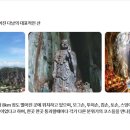 소아마을회관 이미지
