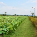 조천 산책로화장실 이미지