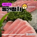 동원참치동여의도 | 여의도 맛집 [동원참치] 특선코스, 회식 접대 룸술집 추천 내돈내산