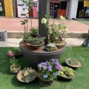 성서중심시장 이미지