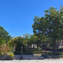 죽전 중앙공원사거리(공원) 이미지