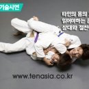 주짓수유술