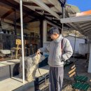 남해-47 | 돌길을 지나 만난 작은 시골집 감성 카페 바다를 담은 한옥 어쩌다남해 바닷가점