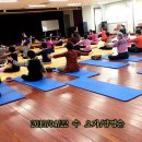 실버로빅(B) 이미지