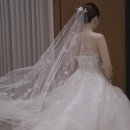 셀리에 | 본식 서브스냅 추천 | 핀터레스트 무드 셀리에 스냅 계약후기