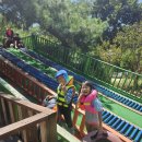 금빛나래 태권도장 이미지