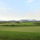 파인비치A 이미지