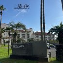 돔베리조트 | 제주도 반려견동반 여행 2일차 숙소 소노캄 제주 리조트 펫 프렌들리