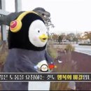 오늘의위로