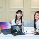 라인업요가 이미지