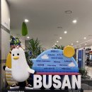 우리캐슬약국 | 팬스타쓰시마링크호 타고 대마도 당일치기 찐 준비물!!(안보면 후회한디!!!)