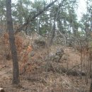 창선면 율도 이미지