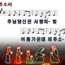 비추소서(2015년 7월12일, 주보28호) 이미지