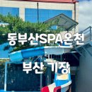 동온탕 | 부산 물놀이장 동부산SPA온천 어린이 야외 수영장 방문 상세 후기
