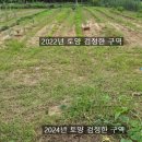 용성땅콩 이미지