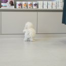 온동물병원 이미지