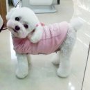 세인트존스동물병원 이미지