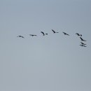 관광단지로 이미지