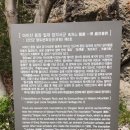 마이산 용암일대 암각서군 이미지