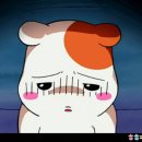 꽃돼지국밥 이미지