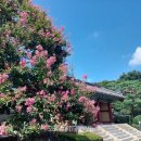 여주-1018 Daum카페