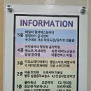 나이스가이다산지금점 네이버블로그