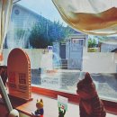 대안2리마을회관 | 통영소품샵 고양이회관 통영투어패스 가능한 서점&amp;기념품