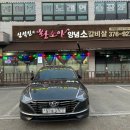 심석진의 황소야 이미지