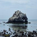 제주 비양도 호니토 이미지