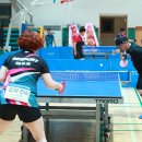 울진군민체육관 체육관 이미지