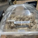 수성1가 제1경로당 | [카페동이 수성1가점] 깔끔한 백반, 수성동 밥집 맛집 🍚