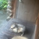 올곧제주 이미지