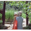 성우농장 이미지