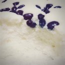 백설기